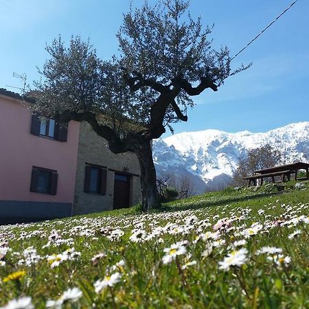 Vila La Via Del Parco Arsita Exteriér fotografie