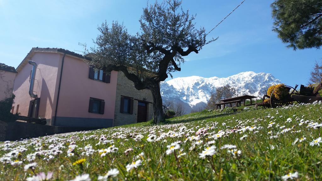 Vila La Via Del Parco Arsita Exteriér fotografie